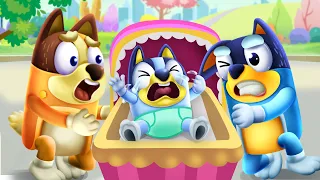 Bluey Takes Care of Baby Bingo | Educational Videos | Cartoons for Kids | Bluey Cartoon Toys