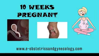 10 Weeks Pregnant - Pregnancy Symptoms, Development, Ultrasound, Belly and Baby