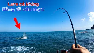 Lure biển đụng bầy cá Bè Chang 17kg và nghề hái Rong Mứt trên đá của ngư dân - p1