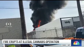 Fire erupts at illegal cannabis operation in downtown LA