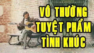 HÒA TẤU TÌNH KHÚC VÔ THƯỜNG - Tuyển Chọn Nhạc Không Lời Hay Nhất Của Nhạc Sĩ Vô Thường