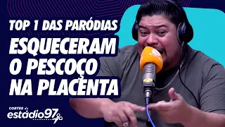 TOP 1 DAS PARÓDIAS - "ESSA FICOU SENSACIONAL"  ( ESQUECERAM O PESCOÇO NA PLACENTA )