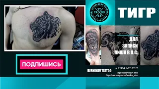 BERNIKOV TATTOO 48 - Тигр