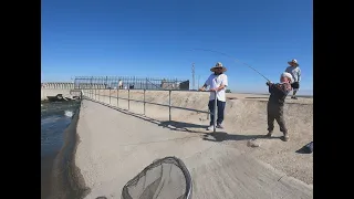 Striper Madness At The California Aqueduct With My Son As A Guide LOL