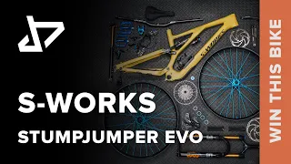 DREAM BUILD MTB - S-WORKS Stumpjumper EVO - WIN THIS BIKE!