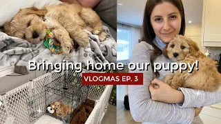 BRINGING HOME OUR CAVAPOO PUPPY | VLOGMAS Ep. 3