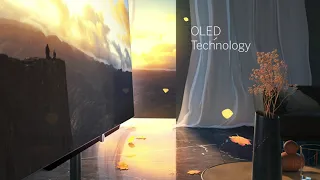 Brand new! Loewe Bild S. Smart OLED TV!