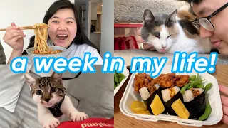 a week in my life! (what i eat 🍜, filming 🎥, cat updates 🐱)