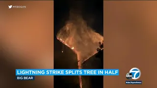 Burning tree splits in half after lightning strike near Big Bear | ABC7