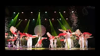 Best ever, amazing double-fan veil performance ever seen - Bellydance Extraordinaire Singapore!