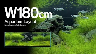 [ADAview] Stone Scape in Early Summer 初夏の石景 -W180cm Aquarium Layout-【EN/JP Sub.】///CREATORS TALK