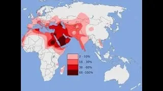 صمود الأنساب أمام DNA