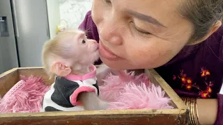 So Sweetheart Baby Monkey Para Very Tender Kiss Mommy