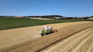 Claas Mega 350 in der Rapsernte