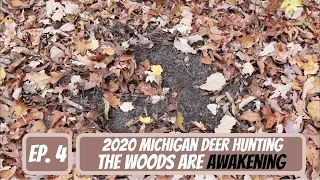 Michigan Deer Hunting Season 2020 - EP. 4 - The Woods are Awakening