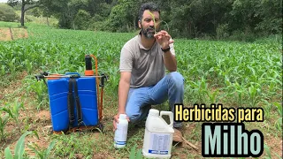 CAPINA QUÍMICA NO MILHO | QUAL HERBICIDA POSSO USAR