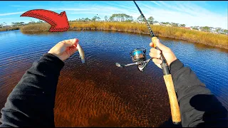 Fishing with LIVE Minnows in DEEP Pockets! (GREAT Results)