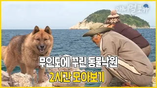 물도, 전기도 없던 무인도에 간 부부! ⛰  염소들과 함께 꾸린 동물 낙원 | 2시간 모아보기! | 그들만의 낙원 | KBS 인간극장 2014 방송