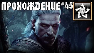 Ведьмак 3: Дикая охота Прохождение ★ Траур и приятная встреча на Скеллиге ★ #45