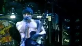 Red Hot Chili Peppers - Reading Festival - 8/28/1994 - PRO Upgrade!