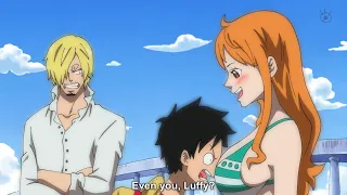 Revealed Why Everyone Wants to Be with Nami – One Piece