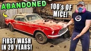 I Found The COOLEST Classic Car From The 60's To Detail!