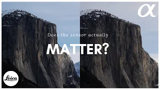 Does the Sensor Matter? Leica M10 vs. Sony A7RV!