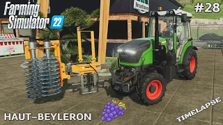 Building a Grape Vineyard and buying equipment | Haut-Beyleron | Fs22 Timelapse | Ep.28 - Ps5