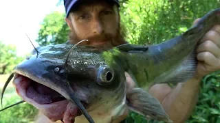 Catch and Cook PRIMITIVE CATFISH on Coals & CACTUS Tuna! Ep05 | 100% WILD Food SURVIVAL Challenge!