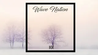 Wave Nation January 2022 (Disco, NuDisco, Remix)