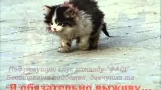 В одном дворе уже который год....