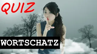 Wie groß ist dein Wortschatz? #1 | TESTE DICH