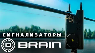 Обзор карповых сигнализаторов и лагерной лампы Brain