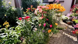 Вечерняя прогулка по саду и минутка отдыха 🌹🌲🌿🌷🌺🥀beautiful garden