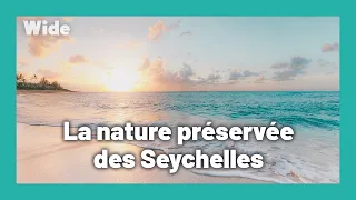 Les Seychelles : un JOYAU naturel I WIDE