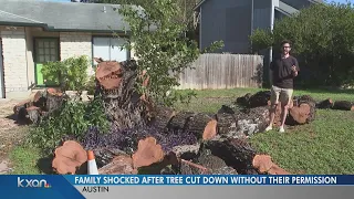 Family shocked after tree cut down without their permission