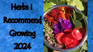 Herbs I Recommend to Grow or Stock 2024
