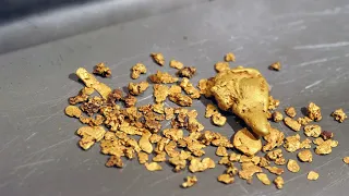 Разработка русловых золотоносных россыпей
