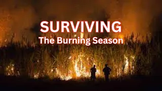 Surviving the burning season: What will you do.