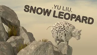 YU LIU'Snow Leopard-what if animals were round?
