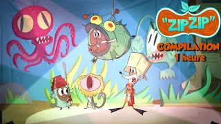 Enfin seuls ! | Zip Zip français | Episodes complets  | 1H | S1 | Dessin animé pour enfants