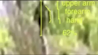 Bigfoot Sighting Filmed In Russia