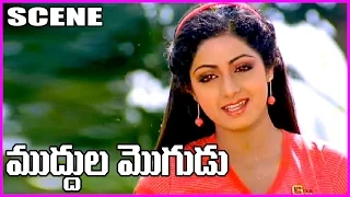 Muddula Mogudu || Telugu Movie Scene  || ANR,Sridevi  - Telugu Movie Bazaar