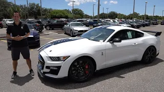 Is this 2020 Ford Shelby GT500 optioned to be the BEST Mustang ever built?