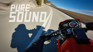 TRIUMPH STREET TRIPLE 660S | PURE SOUND!