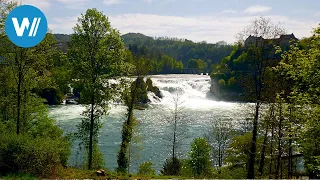 Der grüne Rhein | Der Rhein von oben (2/5)