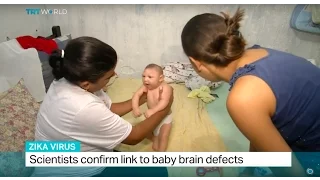 Scientists confirm link to baby brain defects, Andrew Hopkins reports