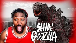 SHIN GODZILLA (2016) REACTION | First Time Watching