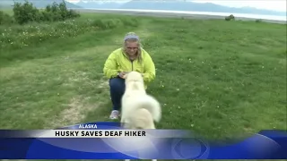 Husky helps rescue injured deaf Tennessee hiker in Alaska