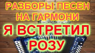 РАЗБОРЫ ПОД ГАРМОНЬ! Я ВСТРЕТИЛ РОЗУ!